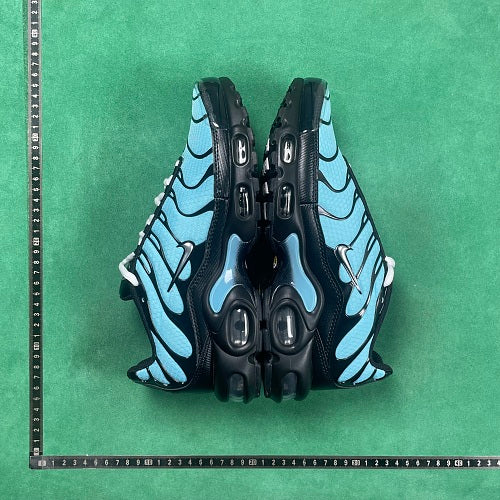Nike Air Max Plus — Light Blue / Black